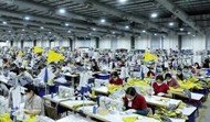 U.K., Vietnamese businesses expand cooperation towards high-value growth